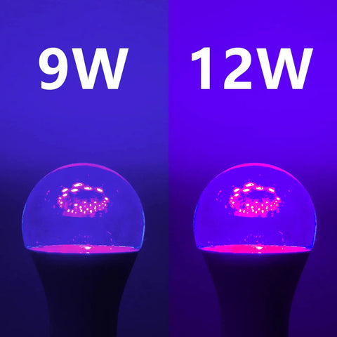 Comparison of LED Black Light Bulbs 9W Equivalent 75W A19 UV 390 To 400nm Glow In The Dark with a 12W bulb, glowing purple.