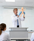 Instructor demonstrating Premature Infant Simulator And NG Tube Insertion Trainer to nursing students in clinical training.