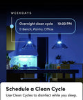 Smart LED Light Bulb 2 Pack With Wi Fi Full Color RGBW 1100 Lumens Antibacterial HEV Mode Dimmable Via App Or Voice No Bridge Required Works With Alexa Google HomeKit Siri 75W Equivalent showcasing overnight clean cycle schedule in kitchen setting.