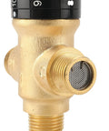 Front close-up of TreMax thermostatic mixing valve, solid brass, golden finish, with NPT threads and mesh screen