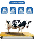 Cow on a platform with 2-Inch Plate Swivel Caster Wheels Set Of 4 Heavy Duty Load Capacity 2200 Lbs With Brake Center Of Gravity Nylon Wheels.