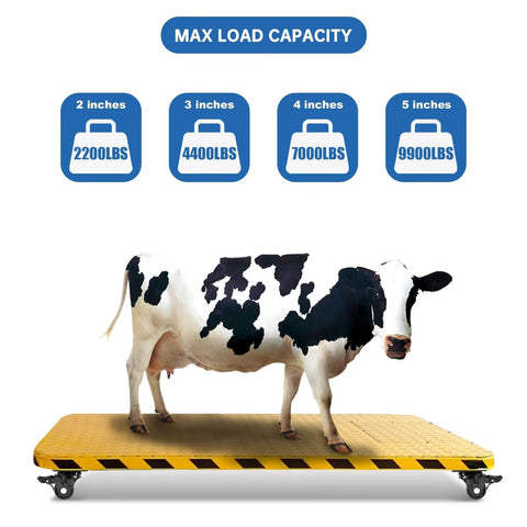 Cow on a platform with 2-Inch Plate Swivel Caster Wheels Set Of 4 Heavy Duty Load Capacity 2200 Lbs With Brake Center Of Gravity Nylon Wheels.