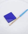 Flame Test Rod Set With Cobalt Glass Filter Sheet And Metal Alloy Wire For Classroom Chemistry Labs Hands On Demonstrations