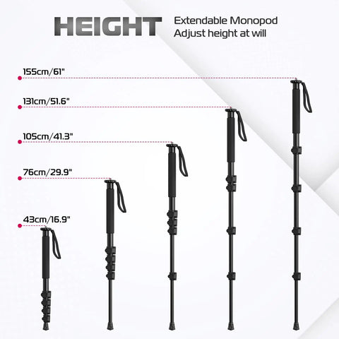 Height comparison of Ultra Lightweight 61 Inch Camera Monopod For On The Go Travel Photography showing five extension levels.