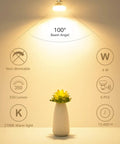 Straight Forward Top Notch GU10 Led Bulbs 4 Watt 350 Lumen 2700K Soft White Non Dimmable Track And Recessed Lighting Bulbs No Hassle Quick Install Solid 6 Pack Collection illuminating a plant.