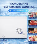 Roomy 14 Cubic Foot Top Load Chest Freezer With Drop Dead Cold Seven Level Temp Dial and Zero Hassle Energy Savings on a snowy background.