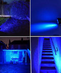 Blue Solar Spotlight Kit Outdoor Waterproof Garden Lights with Auto On Off illuminating stairway and garden at night