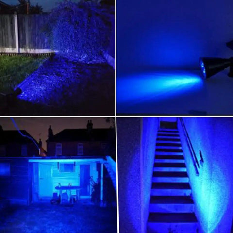 Blue Solar Spotlight Kit Outdoor Waterproof Garden Lights with Auto On Off illuminating stairway and garden at night
