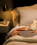 Cozy bedroom lighting with Relax LED Candle Light Bulbs Soft White 40 Watt Equivalent Clear Decorative B11 Small Base 8 Pack Energy Saving.