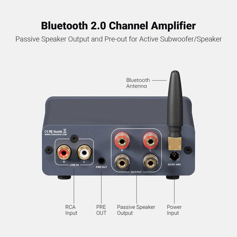 Back view of BT20A Pro Bluetooth 5.0 Amplifier showing RCA input, passive speaker output, pre-out and antenna