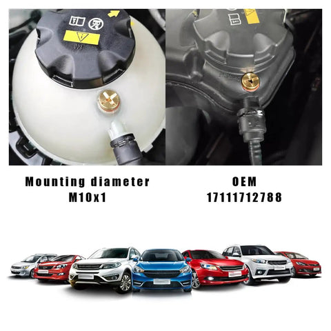 Radiator Coolant Expansion Tank Bleeder Screw With Tough Rubber O Ring Sweet Fitment For Bmw X3 X5 Z3 Z4 325i 328i 525i 528i, M10x1