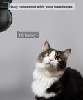 2K Indoor Camera With 360 Degree Coverage For Home Security, Pet Monitor observing a cat, demonstrating motion tracking capability.