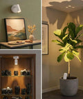 Magnetic Rechargeable Picture Light 2 Pack With Remote And Touch Control showcasing art, plant, and camera display illumination.