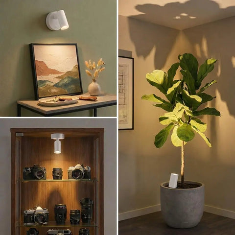 Magnetic Rechargeable Picture Light 2 Pack With Remote And Touch Control showcasing art, plant, and camera display illumination.