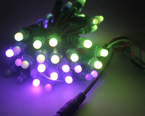 RGB Dream Color Changing Addressable LED Pixel String Lights 12V DC 500 Pieces Waterproof IP67 12mm Pixels WS2811 IC glowing