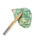 Cool Set Of 10 Pieces Engraver Bits With Coated Carbide And 30 Degree Tips, showcasing a 30-degree bit next to a green shell.