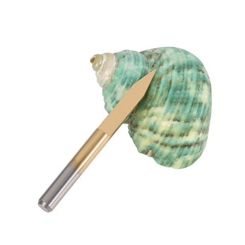 Cool Set Of 10 Pieces Engraver Bits With Coated Carbide And 30 Degree Tips, showcasing a 30-degree bit next to a green shell.