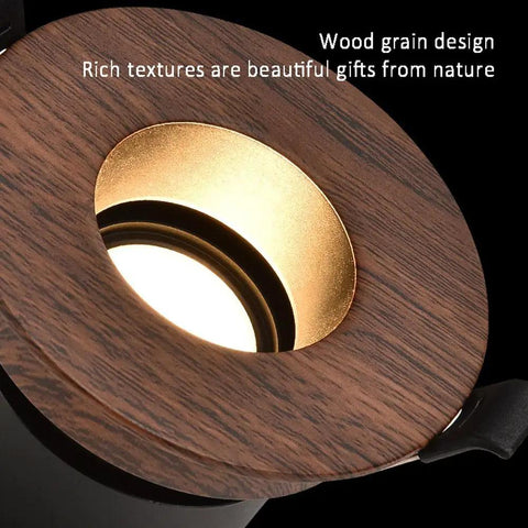 Close-up of Top Tier Wood Grain Recessed Downlights Led Ceiling Potlights with golden inner trim.