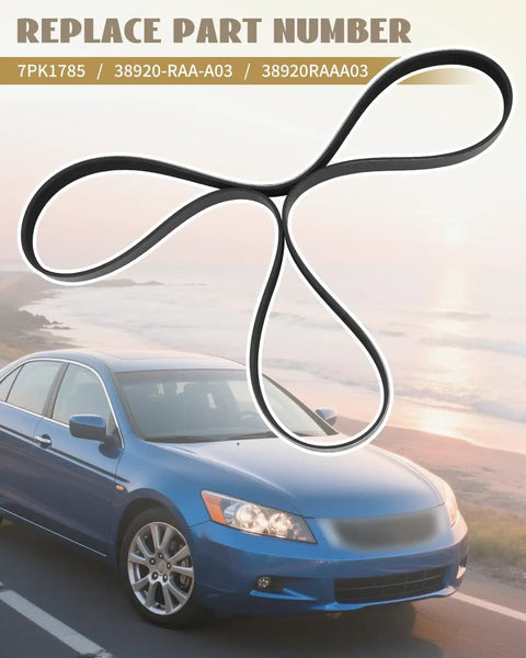 Honda Accord 2.4L Serpentine Drive Belt Replacement 7PK1785 38920-RAA-A03 on top of car image, beach background