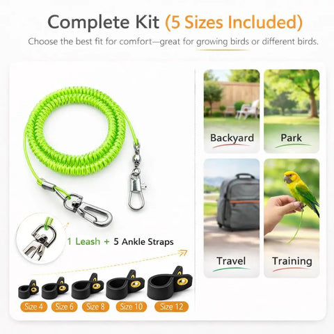 Bird Harness Leash For Parrots With Anti Bite Outdoor Flying Training Rope Extends Up To 197 Inches Includes Five Soft Foot Loops