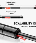 Top Shelf Hella Sturdy Rear Trunk Lid Struts And Lift Supports For Buick Century 2000 2005 And Regal 1999 2004 Oldsmobile Intrigue Left Right Pair 4122 Exact Fit Smooth Action with extended and compressed lengths