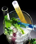 Multi-colored test tubes in a 500ml beaker set for lab work, 3.3 borosilicate glass, Griffin low form with clear markings, pack of four.