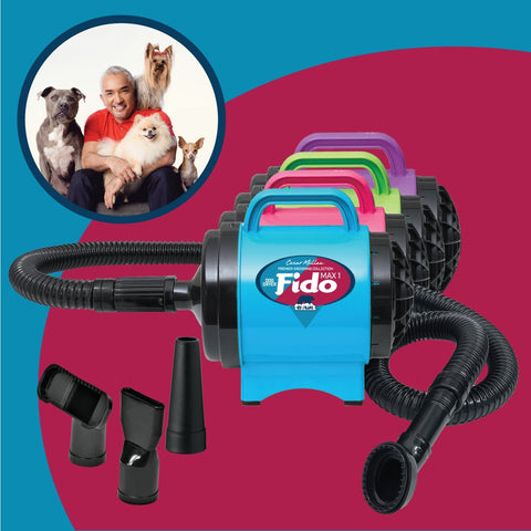 Fido Max 1 Dog Dryer From Premier Grooming Collection in turquoise with six-foot hose and four nozzles for home use