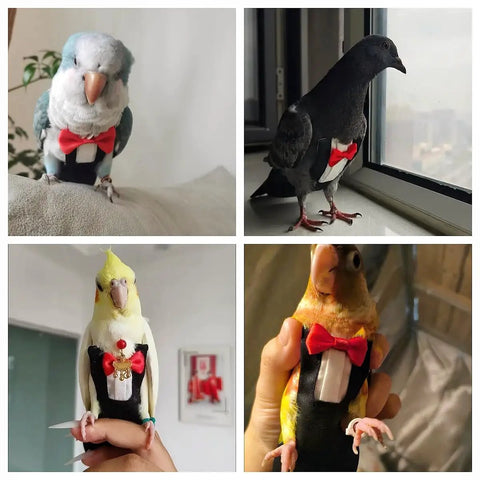 Bird Diaper Harness Tuxedo Flight Suit With Waterproof Inner Layer For Parrots Cockatiels Conures Parakeets Macaws Budgies 80 Inch Flying Leash Ultra Comfortable And Durable Bird Gear displayed on birds in tuxedo design.
