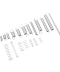 Huge 200 Pcs Compression And Extension Spring Kit With 20 Diverse Sizes, Premium Zinc Plated Steel Assortment For Car Repair, DIY Hacks, Home Maintenance Projects, And Quick Fixes In A Clear Organized Case. Zinc-plated steel springs arranged by size.