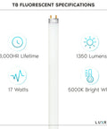 24 Inch T8 Fluorescent Tube Light Bulb 17W 5000K Bright White, 1350 Lumens, G13 Base, specifications displayed