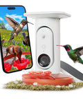 Smart Solar Pro Hummingbird Feeder With Camera And AI Bird Identification 2K Video Capture 5MP Photos Outdoor Hanging Bird Feeder
