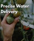 Hand holding green tomatoes in a garden setup using low flow drip tape irrigation kit for row crops on farms with agricultural grade components.