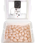 9300 Digital Still Air Egg Incubator With Easy Digital Controls Self Regulating Temperature Built In Hygrometer Sturdy Warmth