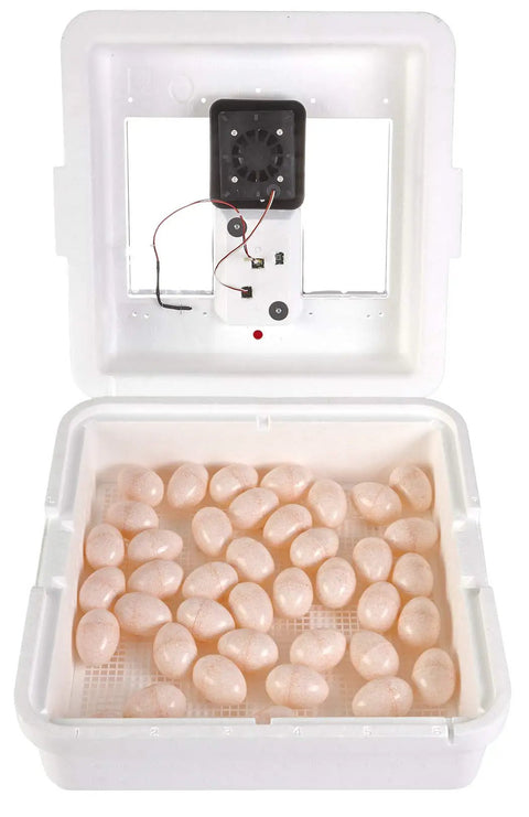 9300 Digital Still Air Egg Incubator With Easy Digital Controls Self Regulating Temperature Built In Hygrometer Sturdy Warmth