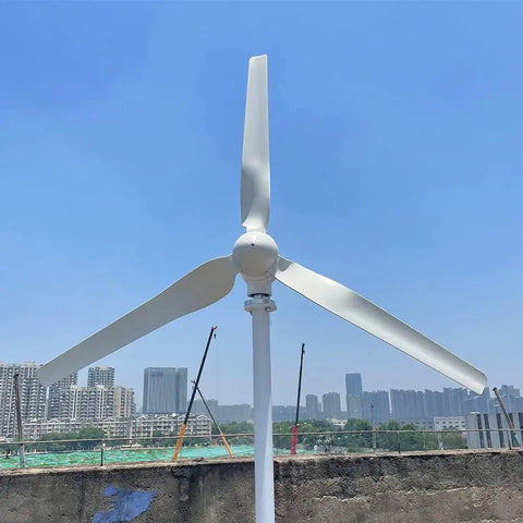 1000W Wind Turbine For Off Grid Homes And RVs 12V 24V 48V System Horizontal Axis Wind Generator With MPPT Controller