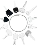 12 Heavy Equipment Forklift Keys Master Set On One Ring, various ignition and access keys encircle a metal key ring