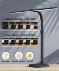 LED Desk Lamp For Home Office Ultra Wide Double Head 24W with base, adjustable gooseneck, five brightness levels, black color