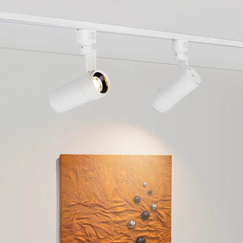 LED Track Lighting Heads With 24 To 60 Degree Adjustable Beam High Output Budget Friendly 13.5W illuminating artwork