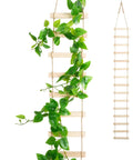 Extra Tall Six Foot Wooden Ladder Plant Trellis with climbing vines, showcasing wood sections for indoor and outdoor garden support.