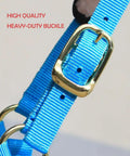Close-up of blue nylon strap with buckle on Lunge Cavesson With Fleece Lined Nose Band And Crown, Totally Adjustable by Buckle