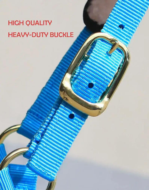 Close-up of blue nylon strap with buckle on Lunge Cavesson With Fleece Lined Nose Band And Crown, Totally Adjustable by Buckle
