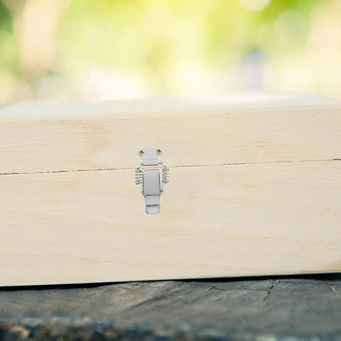 Stainless Steel Spring Hasp Toggle Latch Lock With Dual Spring Design for toolbox on wooden case outdoors