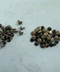 Top-down view of copper rivets for grounding barefoot shoes; small size with black washers.