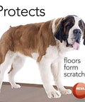 St. Bernard standing on Clear Vinyl Floor Runner Protector with Decorative Dual Pad Pattern, non-slip, prevents scratches