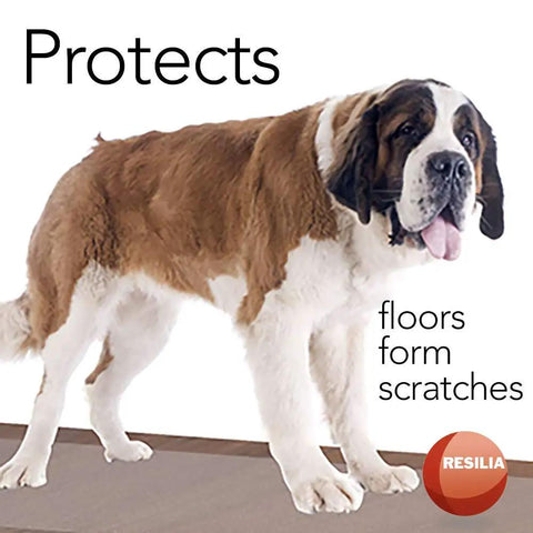 Clear Vinyl Floor Protector Runner For Hard Floors with Dual Pad Pattern shown under a large dog, protecting surfaces from scratches.