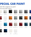 Color swatches for special car paint with various shades labeled, including RBD Storm Blue and others, showing accurate color options.