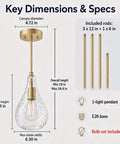 HXXLFONEDP Champagne Gold Pendant Light for Kitchen Island, Clear Glass dimensions with canopy and rod details.