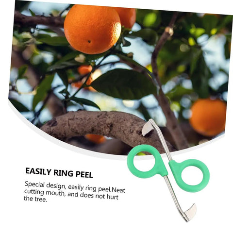 Pro Grade Grafting Ring Cutter Tool Set 2 Pack Fine Edged Trimmers for Gardening and Fruit Trees Quick Ring Stripping Neat Cuts and Minimal Bark Damage Ideal for Home Gardeners, green handle on orange tree branch