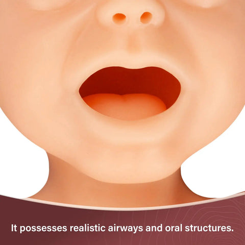 Premature Infant Simulator And NG Tube Insertion Trainer To Nail Your Clinical Game realistic oral structures for training.