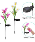 Three Pack Solar Garden Stake Lights With Realistic Calla Lily Flowers, Waterproof Outdoor LED Path Lights, Seven Color Changing LEDs